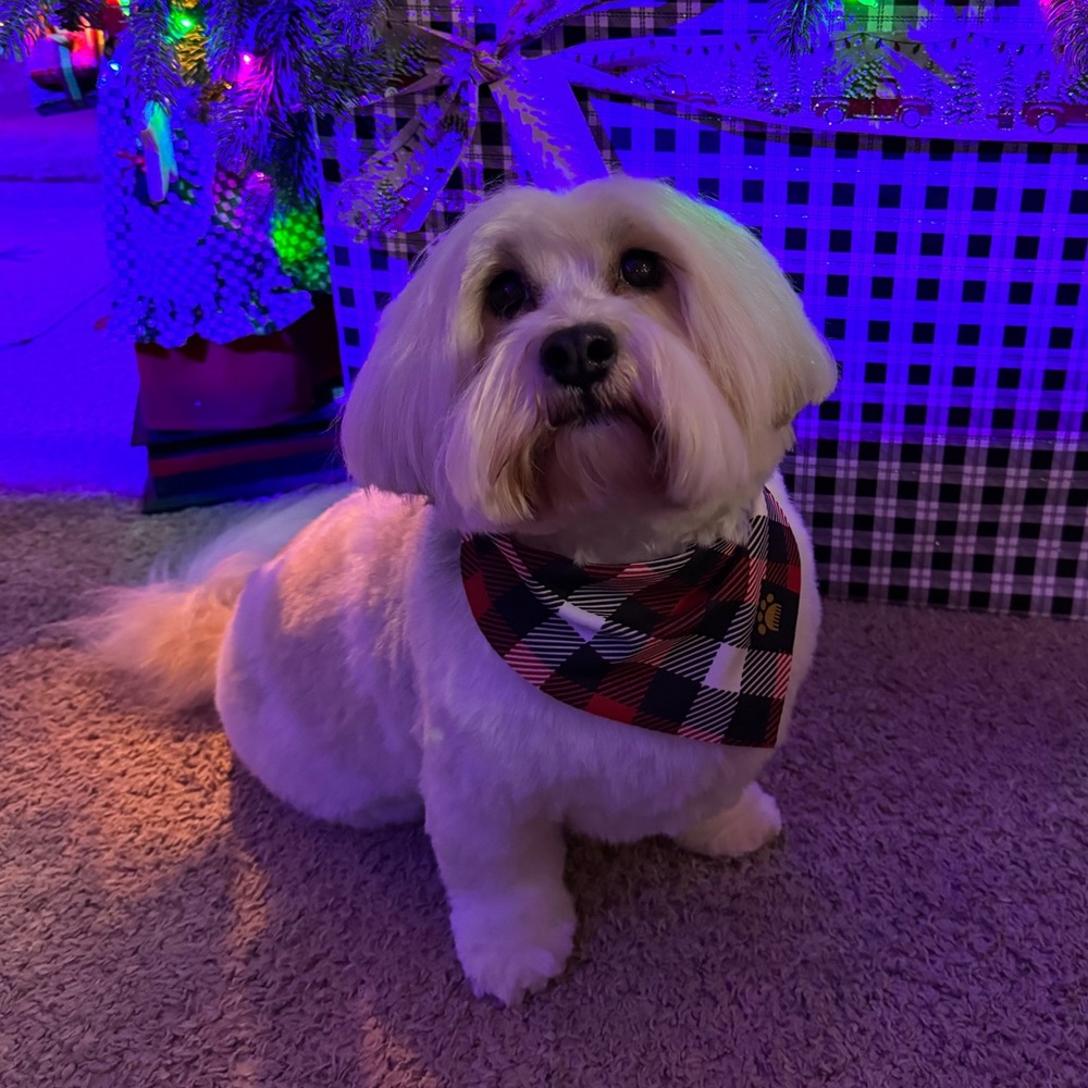 DUKE’S Pet Picks ➡️